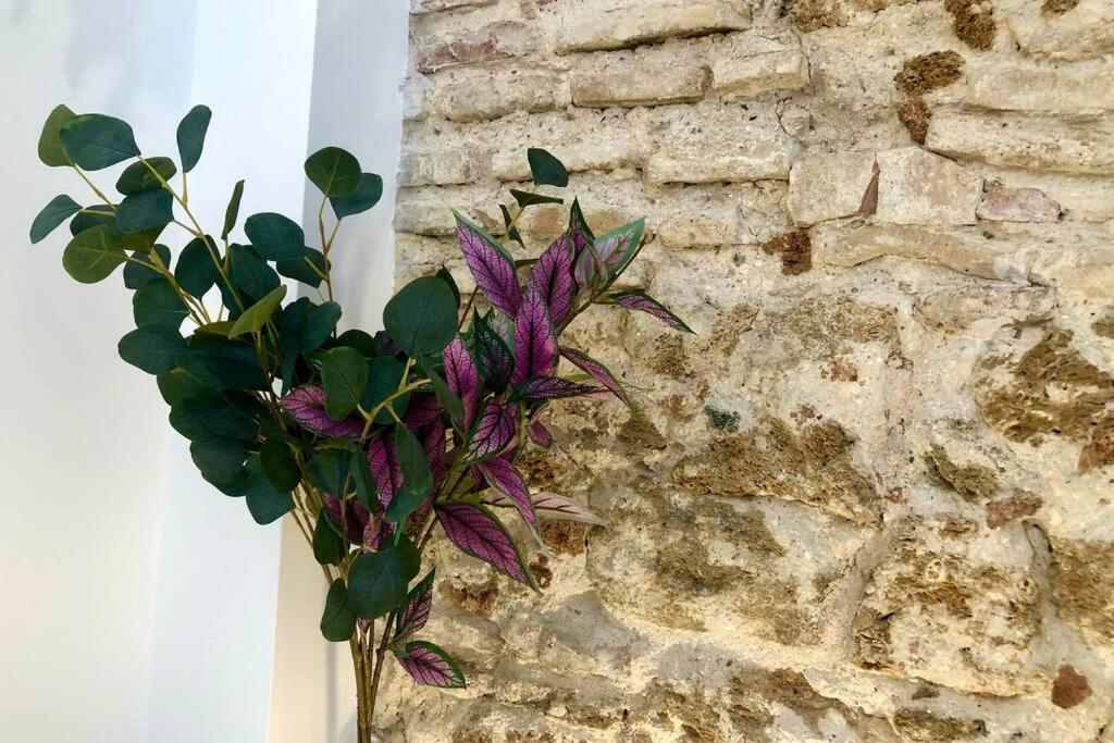 Gatu Premium Villa Libertad, Preferente Mayores De 25 Anos Y Familias Cadiz Luaran gambar