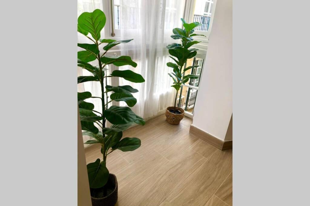 Gatu Premium Villa Libertad, Preferente Mayores De 25 Anos Y Familias Cadiz Luaran gambar