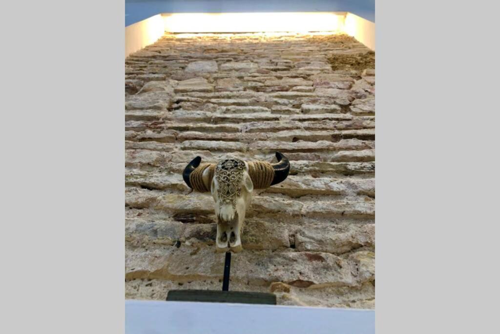 Gatu Premium Villa Libertad, Preferente Mayores De 25 Anos Y Familias Cadiz Luaran gambar